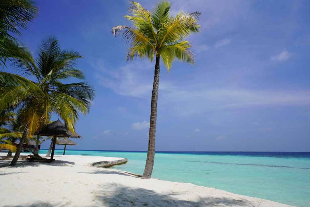 Photo Beach scene